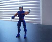 Age of Apocalypse Weapon X (Marvel Universe) Custom Action Figure