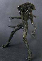 Aliens Warrior (Aliens) Custom Action Figure
