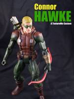 Connor Hawke (DC Universe) Custom Action Figure