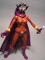 Alley Kat Abra (of the Zoo Crew) (DC Universe) Custom Action Figure