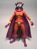 Alley Kat Abra (of the Zoo Crew) (DC Universe) Custom Action Figure