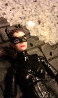 Catwoman - Selina Kyle (G.I. Joe Rise of Cobra) Custom Action Figure