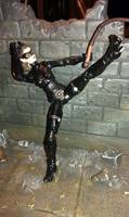 Catwoman - Selina Kyle (G.I. Joe Rise of Cobra) Custom Action Figure