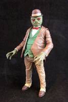 Mr. Toad (DC Universe) Custom Action Figure