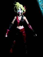Harley Quinn (DC Universe) Custom Action Figure
