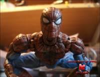 Spider-Man (Spider-Man) Custom Action Figure