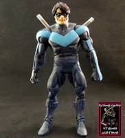 Nightwing (DC Universe) Custom Action Figure