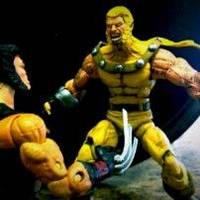 Sabretooth Aoa (Marvel Legends) Custom Action Figure