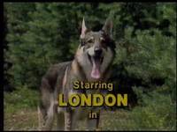 Littlest Hobo (Saving a Life) (Littlest Hobo) Custom Diorama / Playset