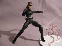 Dark Knight Rises Catwoman V2 (DC Infinite Heroes) Custom Action Figure