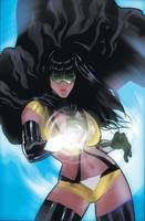 PHANTOM LADY III Stormy Knight Uncle Sam & Freedom Fighters (DC Universe) Custom Action Figure