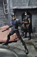 YJ Nightwing (DC Universe) Custom Action Figure