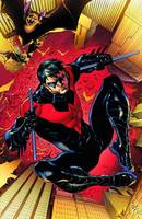 New 52 Nightwing (DC Infinite Heroes) Custom Action Figure