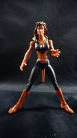 Cheetah (Marvel Universe) Custom Action Figure