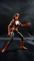 Cheetah (Marvel Universe) Custom Action Figure