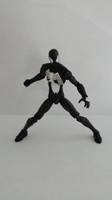 Black Costume Spierman (Marvel Universe) Custom Action Figure