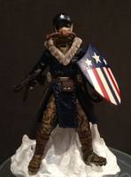 Arctic Assualt Captain America (Captain America) Custom Action Figure