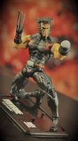 Wolverine (Age of Apocalypse) (Marvel Universe) Custom Action Figure