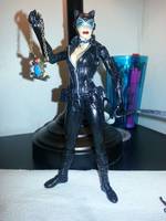 Catwoman 2.0 (Batman) Custom Action Figure