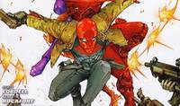 Red Hood (DC Infinite Heroes) Custom Action Figure