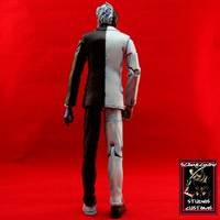 Two-Face (DC Universe) Custom Action Figure