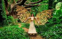Messenger Angel Ya'ar Forest (My Heroes) Custom Action Figure