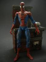 Mcfarlane Spider-Man Repaint (Marvel Legends) Custom Action Figure