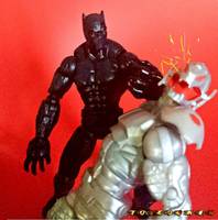 Black Panther (Marvel Legends) Custom Action Figure