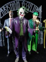 The Riddler (Dark Knight) Custom Action Figure