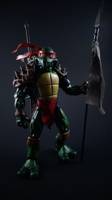 Adult Raphael (Teenage Mutant Ninja Turtles) Custom Action Figure