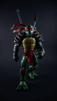 Adult Raphael (Teenage Mutant Ninja Turtles) Custom Action Figure