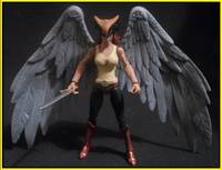 Hawkgirl (DC Infinite Heroes) Custom Action Figure