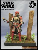 Imperial Firstorm Trooper (Star Wars) Custom Action Figure
