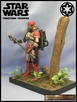 Imperial Firstorm Trooper (Star Wars) Custom Action Figure