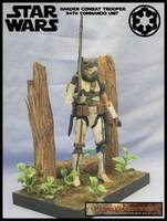Imperial Combat Harden Trooper (Star Wars) Custom Action Figure