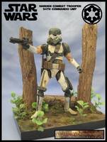 Imperial Combat Harden Trooper (Star Wars) Custom Action Figure