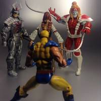 Lady Deathstrike (Marvel Universe) Custom Action Figure