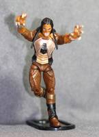 Evil Foes 1 (DC Infinite Heroes) Custom Action Figure