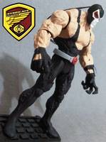 Bane (Batman) Custom Action Figure
