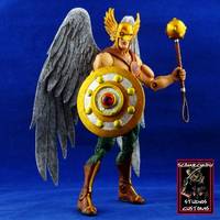 Hawkman (DC Universe) Custom Action Figure