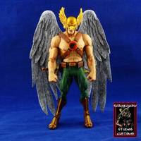 Hawkman (DC Universe) Custom Action Figure