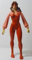 FIREBRAND II Danette Reilly All-Star Squadron Member (DC Universe) Custom Action Figure