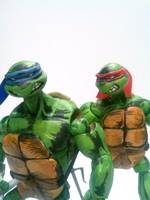 Teenage Mutant Ninja Turtles ( the Green Team) (Teenage Mutant Ninja Turtles) Custom Action Figure
