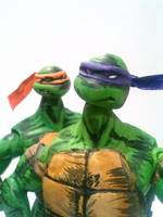 Teenage Mutant Ninja Turtles ( the Green Team) (Teenage Mutant Ninja Turtles) Custom Action Figure