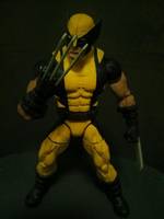 Wolverine (Marvel Legends) Custom Action Figure
