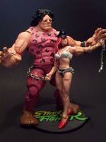 Hugo and Poison HWA (Street Fighter) Custom Action Figure
