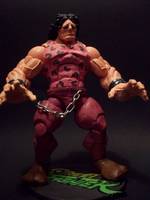 Hugo and Poison HWA (Street Fighter) Custom Action Figure