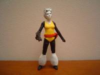 Hepzibah (Starjammers) (Marvel Universe) Custom Action Figure
