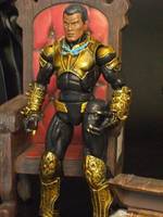 Black Panther (Marvel Legends) Custom Action Figure