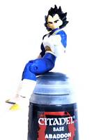 Vegeta (Dragonball Z) Custom Action Figure
